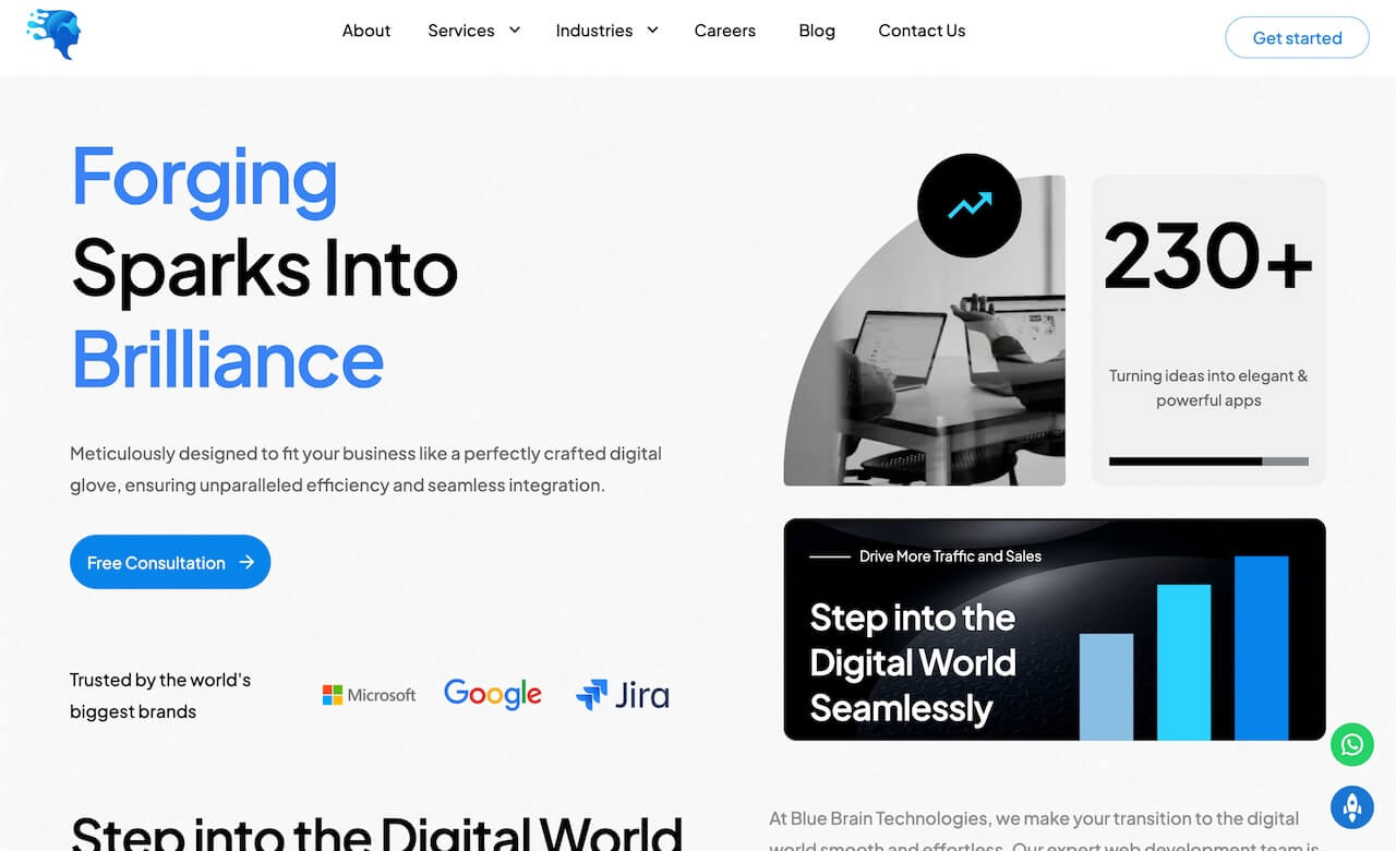 Blue Brain Technologies