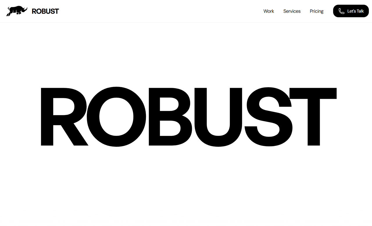 Robust Design Studio