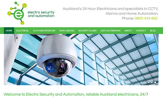 electrosecurity