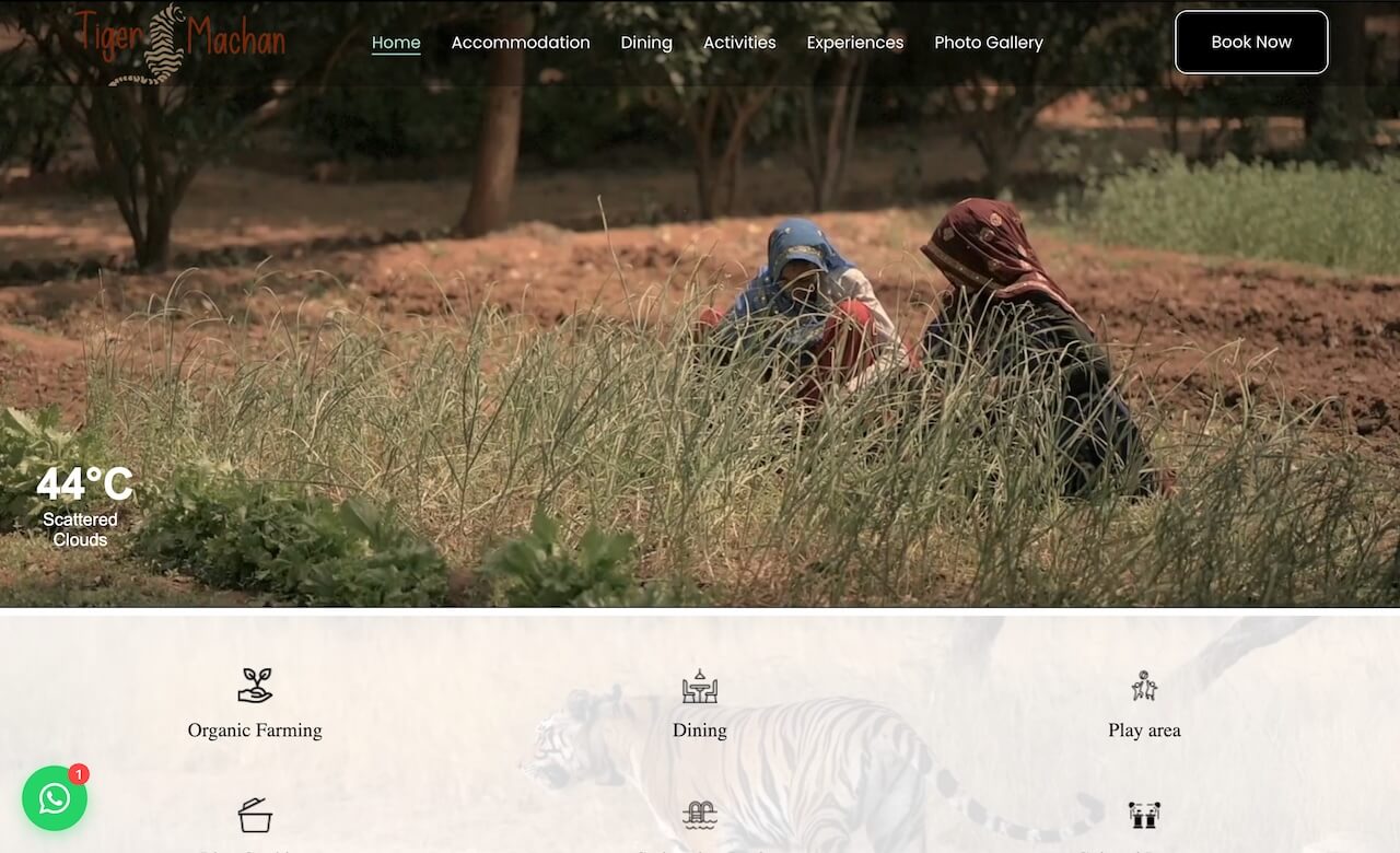 Ranthambore Tiger Machan