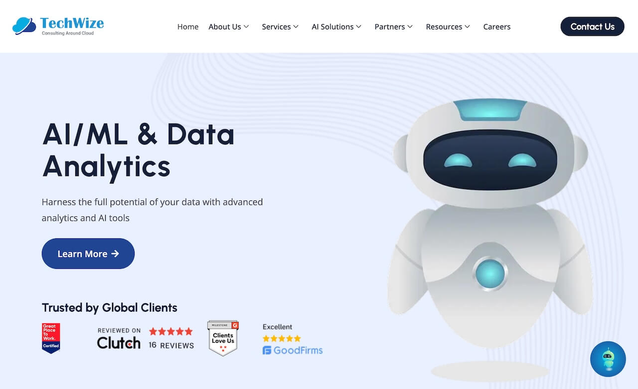 TechWize