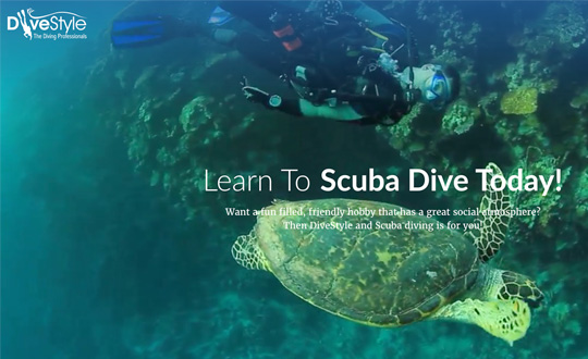 DiveStyle Diving