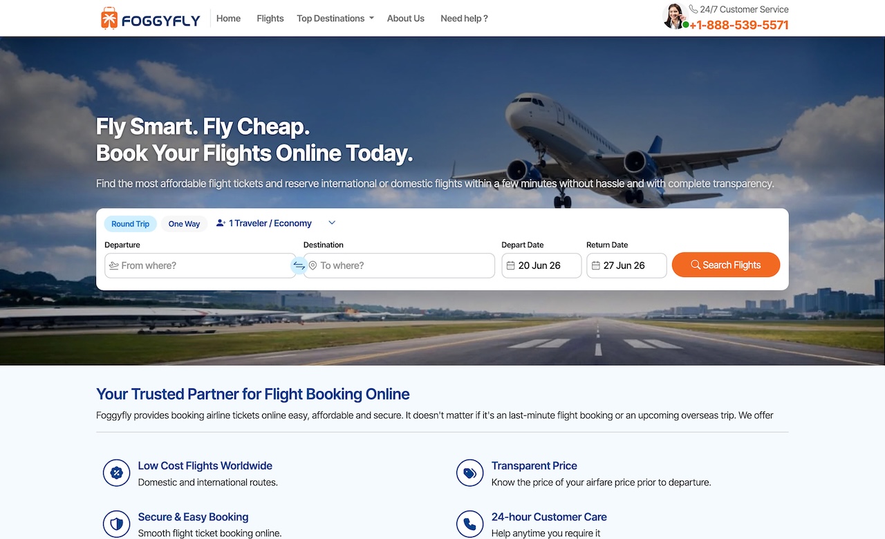 Foggyfly