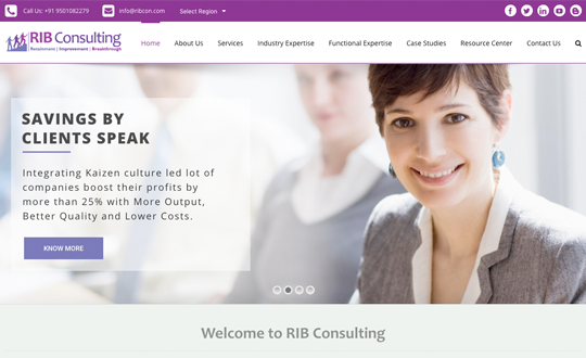 Ribcon Consultency