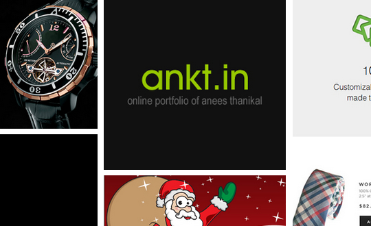 Online Portfolio Anees Thanikal