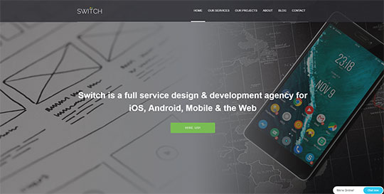 switchsoft technologies pvt ltd