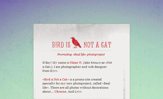 Bird is Not a Cat