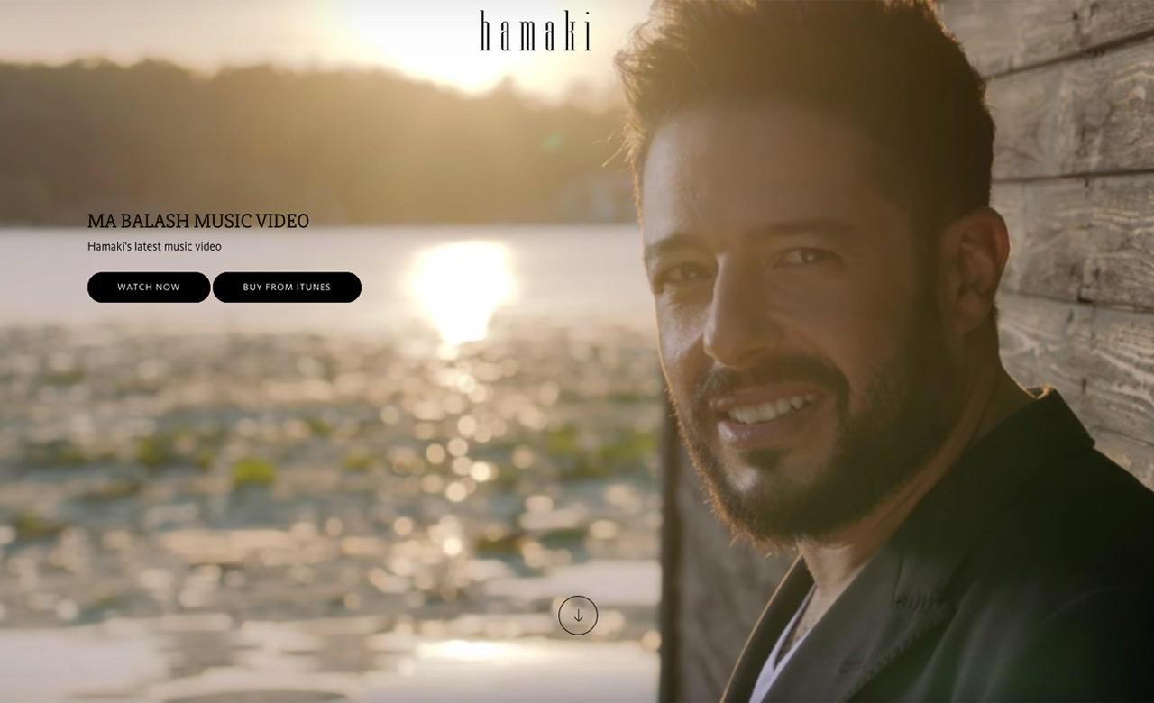 Mohamed Hamaki official website