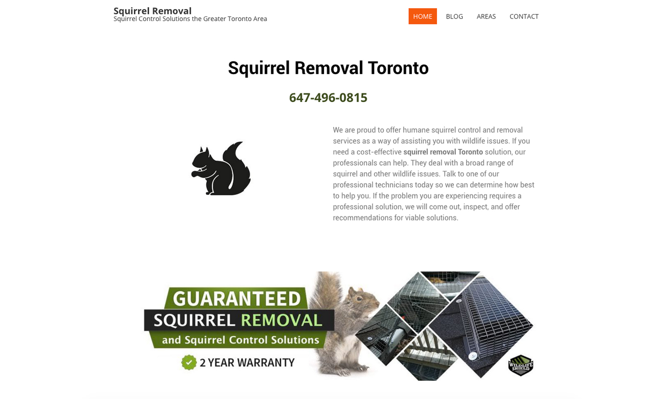 Squirrel Removal