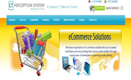 Reliable and Secure eCommerce Solution Available At Perception System