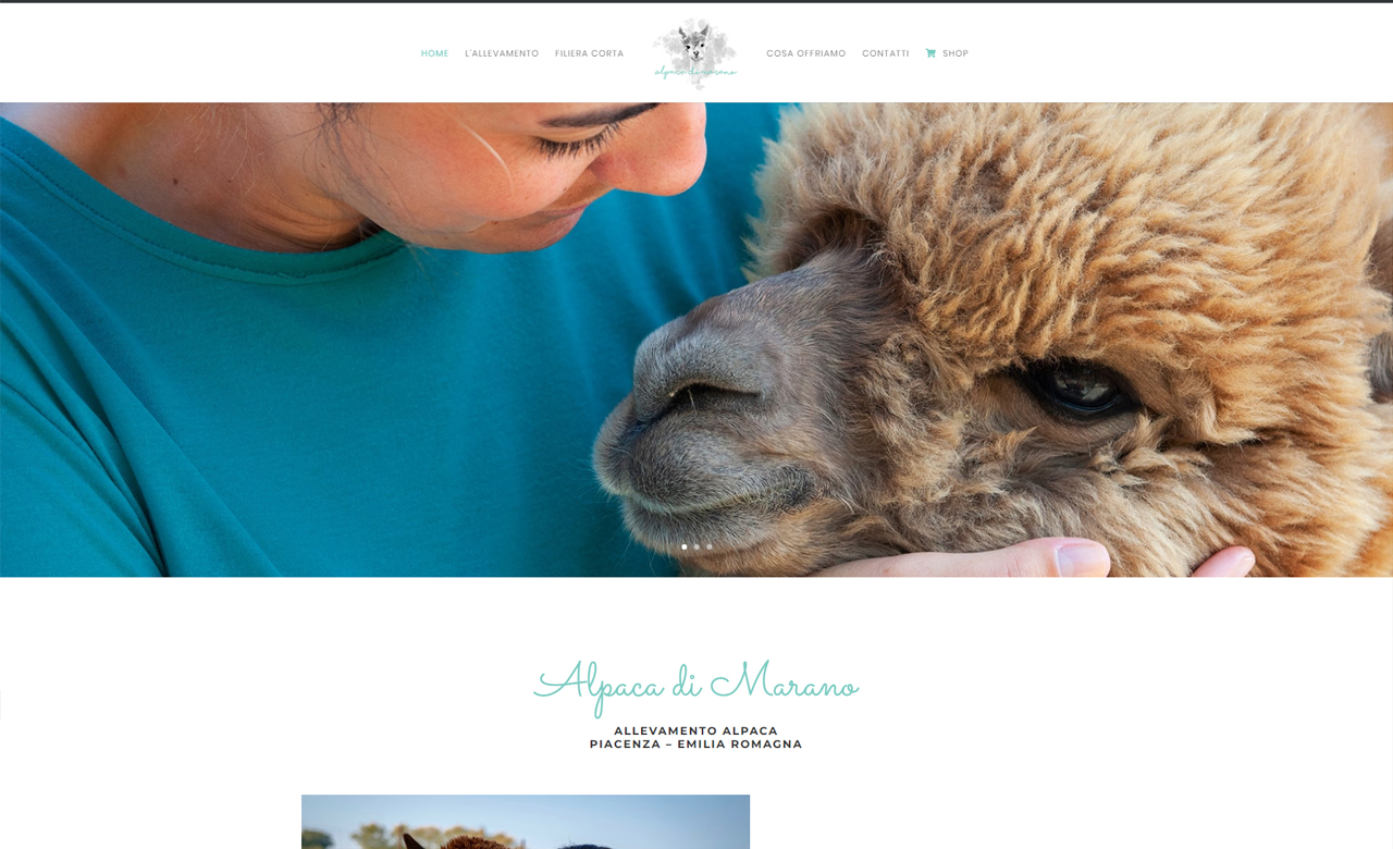 Alpaca di Marano