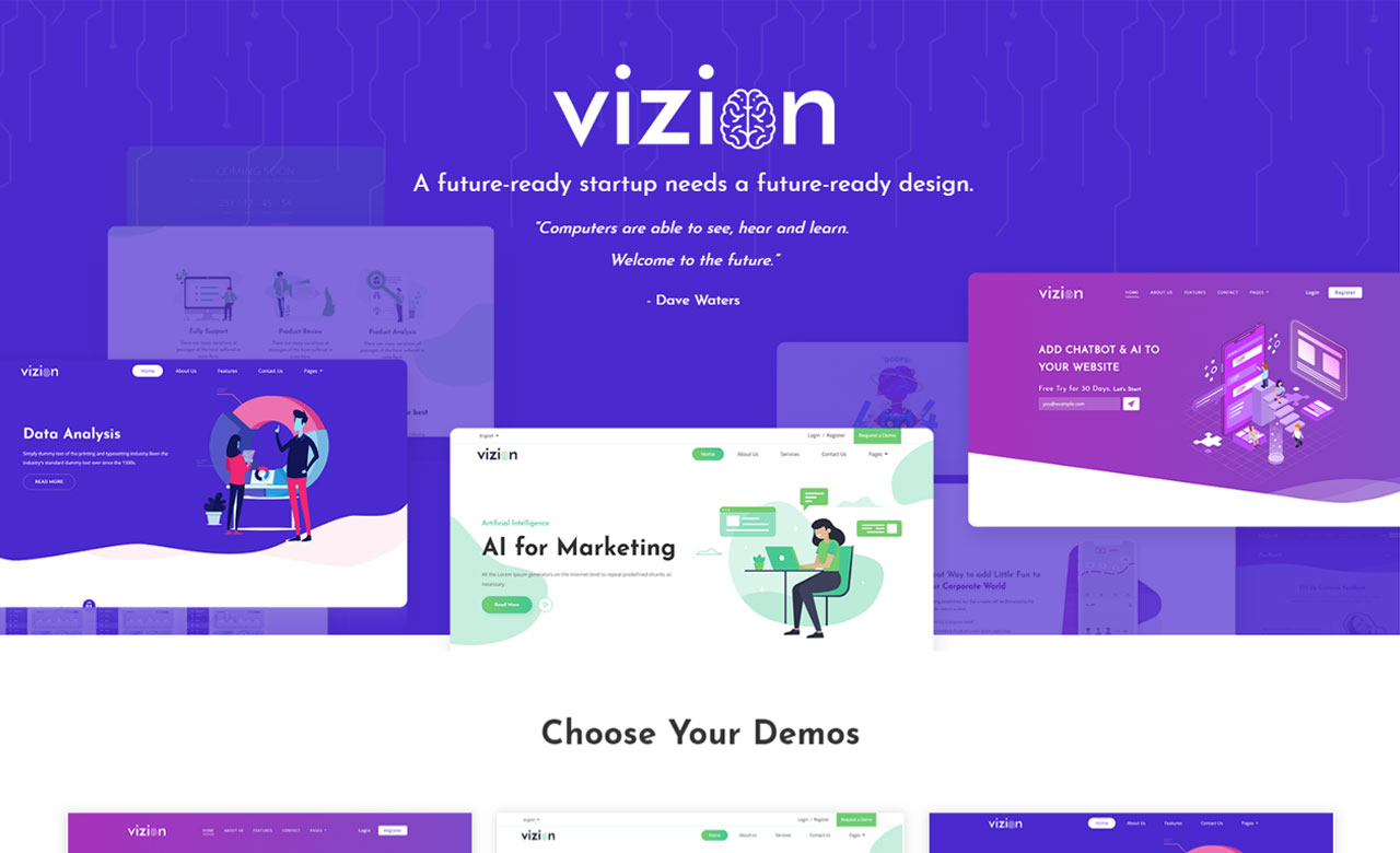 vizion