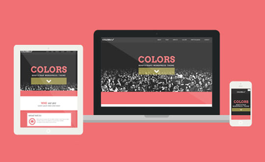  Colors Bootstrap WordPress Theme 